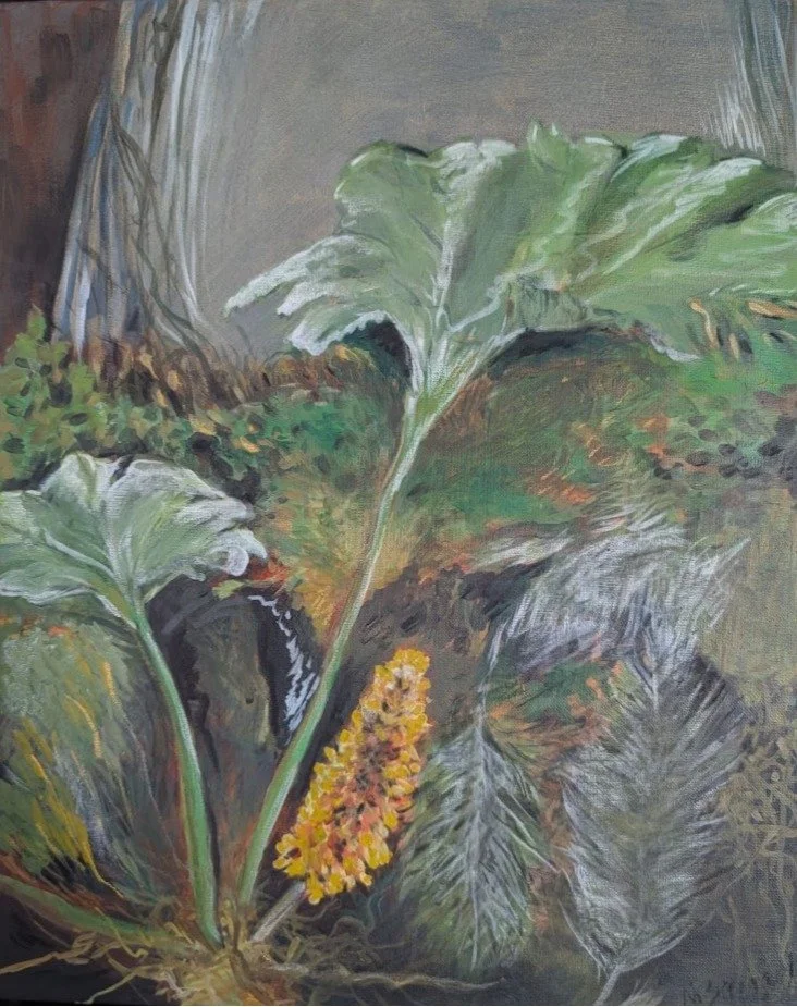 Barnard_Nancy_Woodlands Understory - Nancy Barnard.JPG