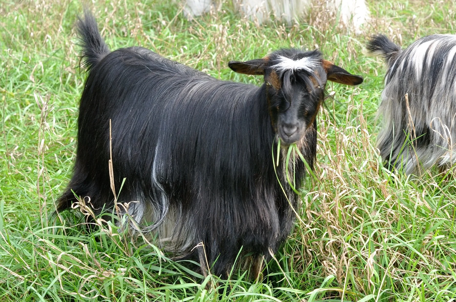 DSC_0009.jpg