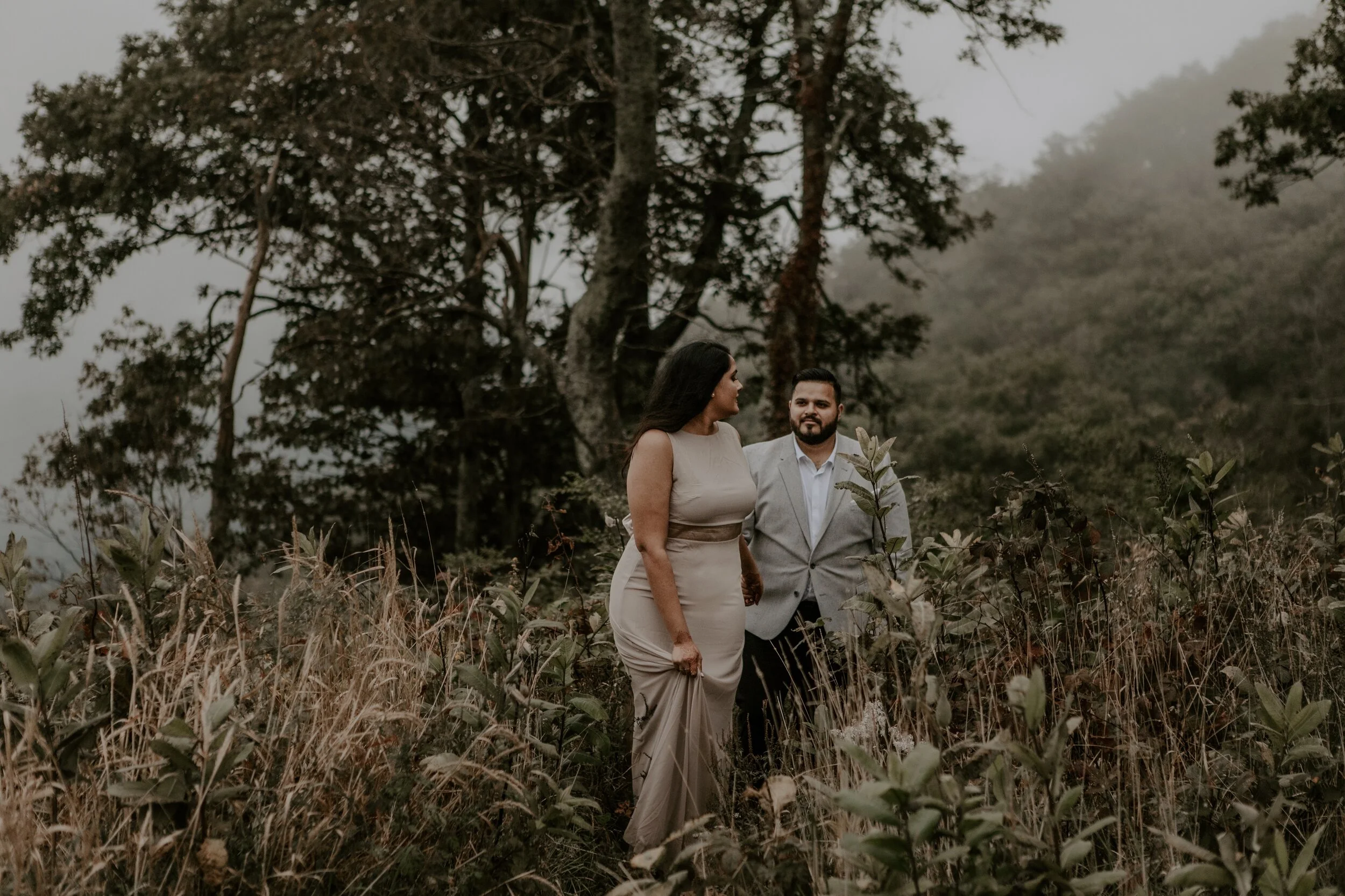 Shenandoah Mountain Wedding- Sneha &amp; Prateek