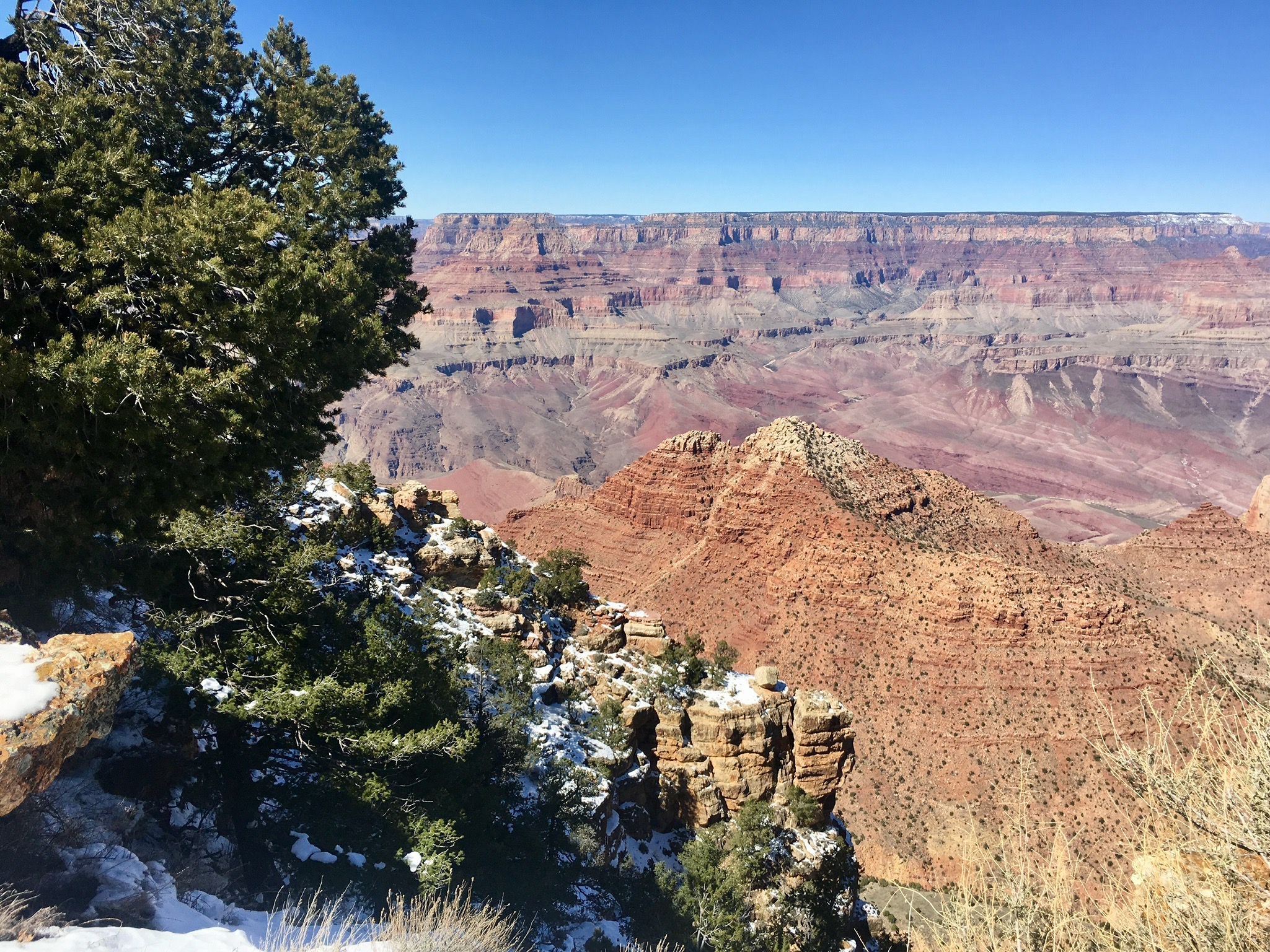 IMG_0018.jpeg