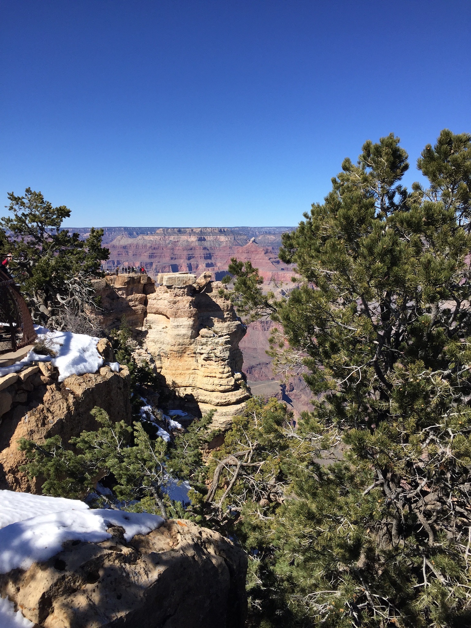 IMG_0022.jpeg