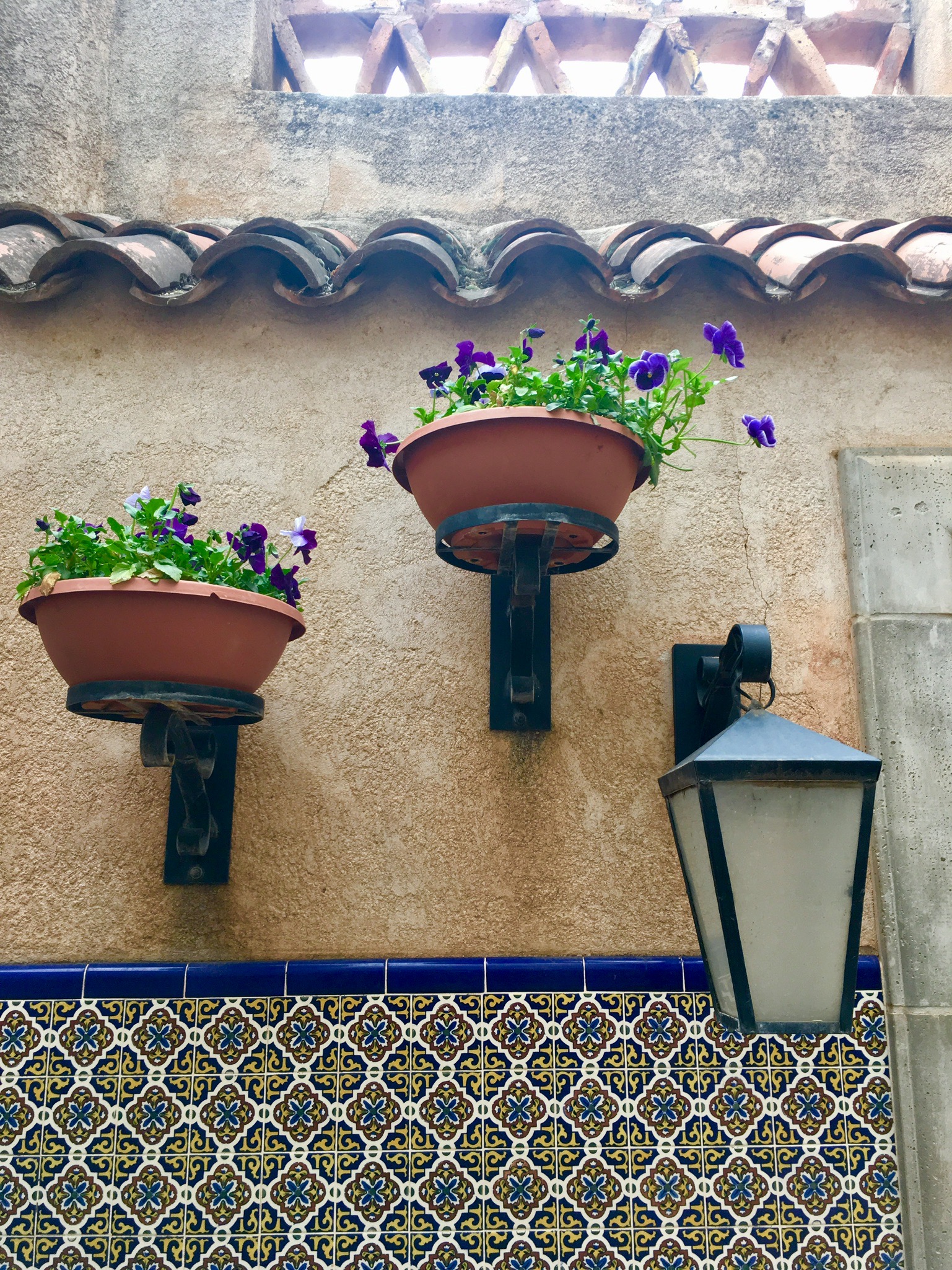 IMG_0085.jpeg