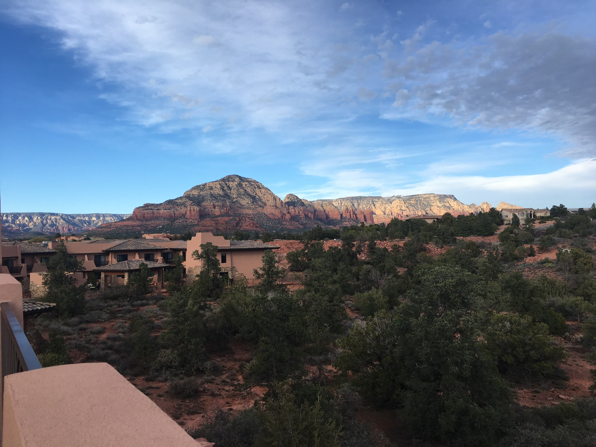 IMG_0092.jpeg