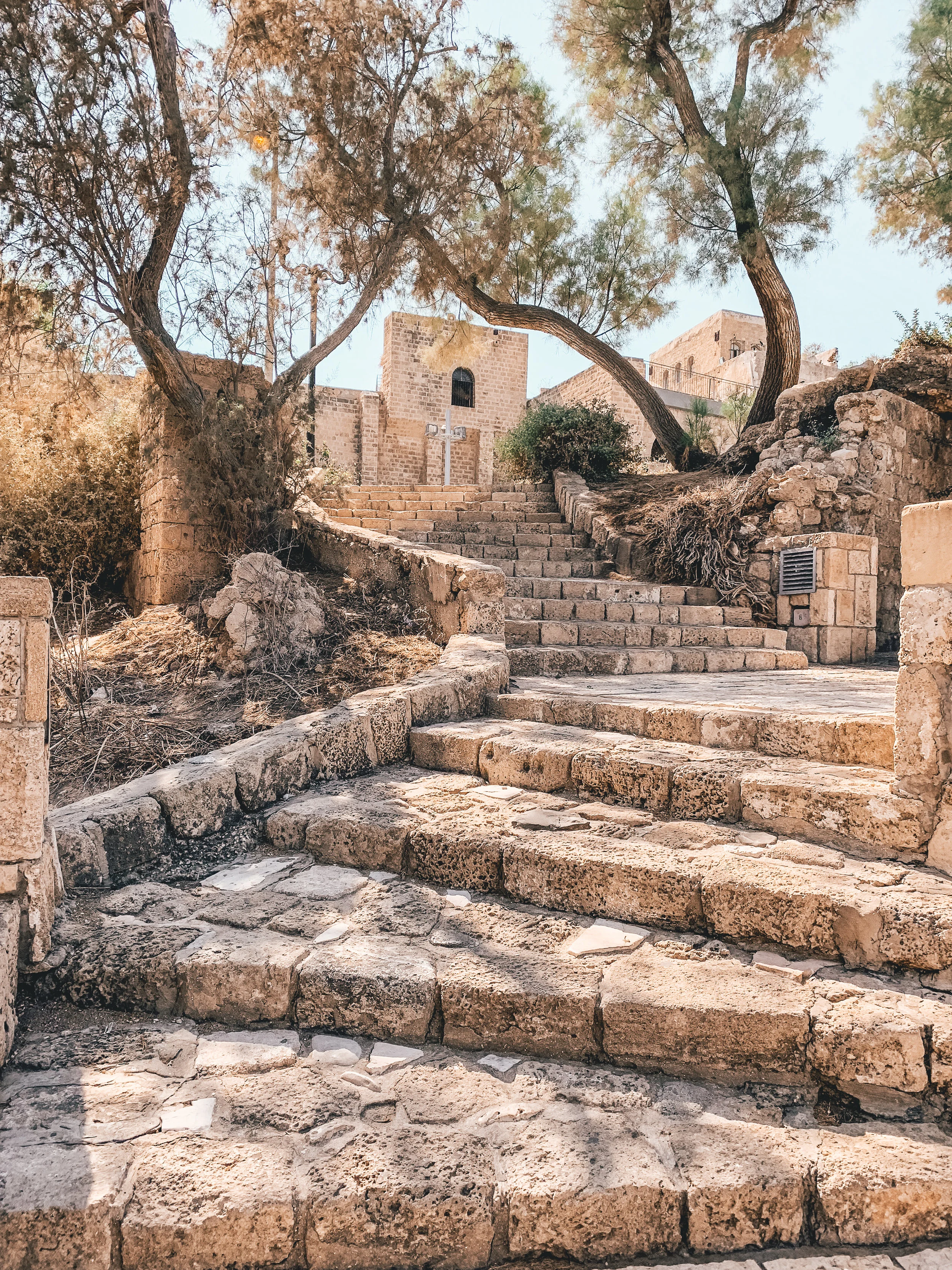 Featured Post: Family Trip to The Holy Land