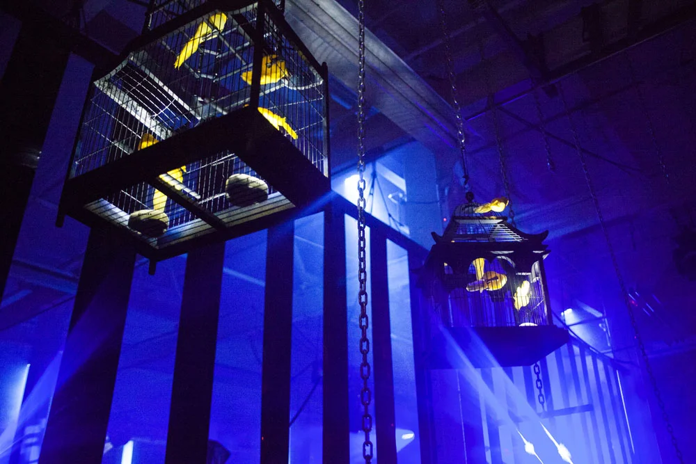 bp15-venue_16953939221_o.jpg