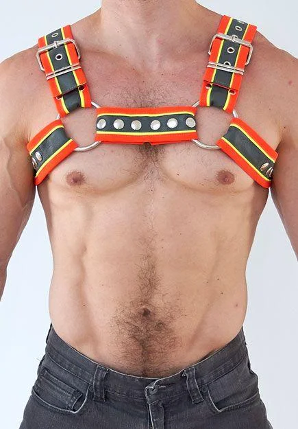 construction-bulldog-half-harness-1_720x.jpg