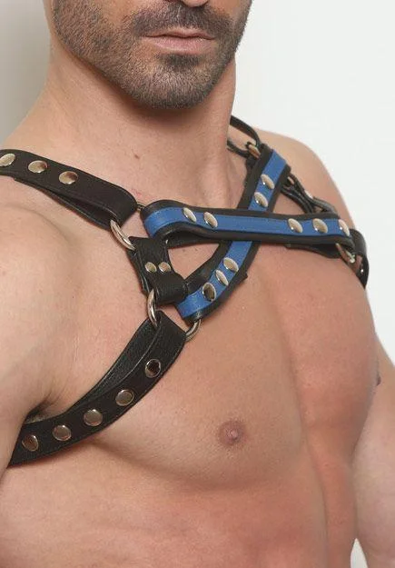 cross-combo-half-harness-blue_720x.jpg