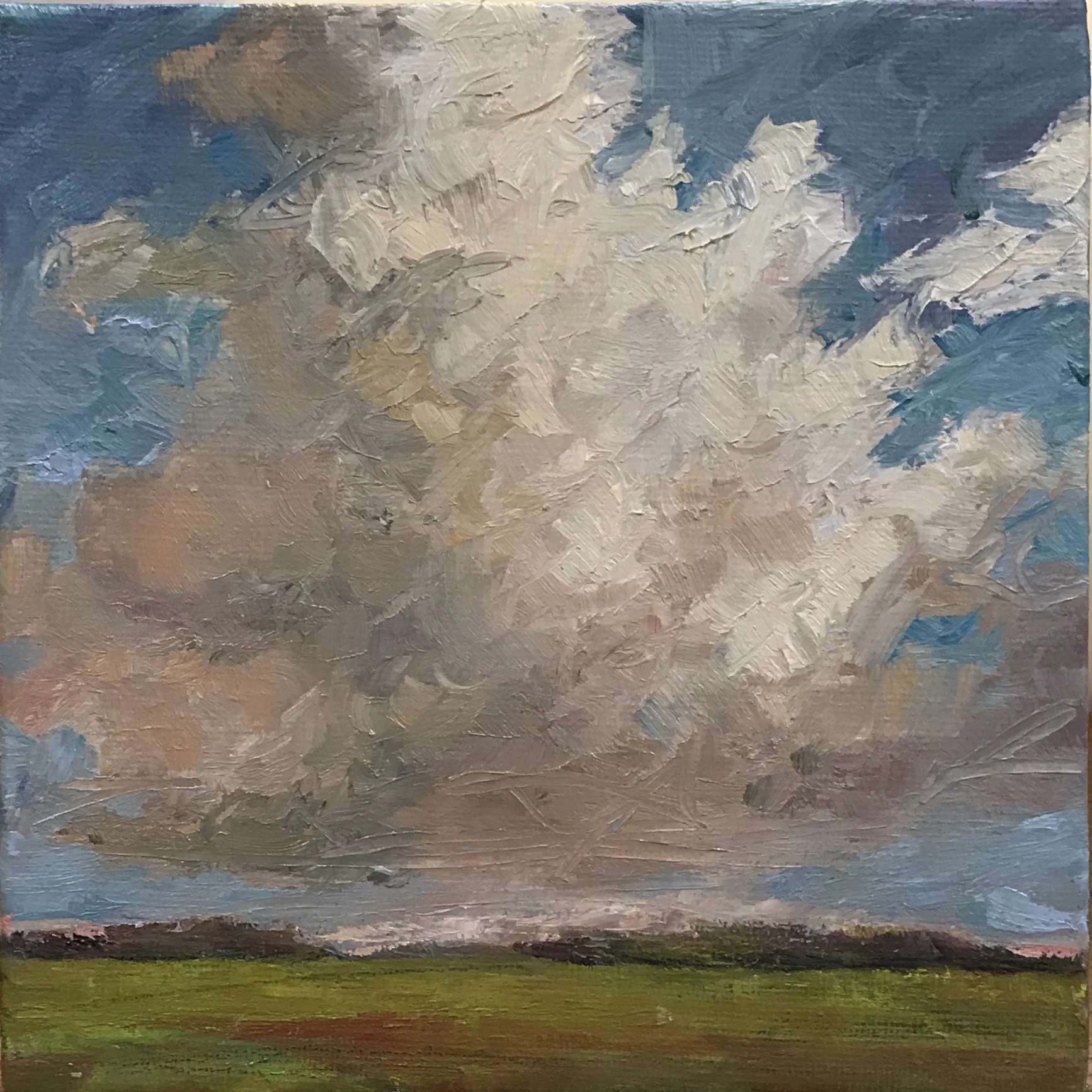 Southern Pasture:oil on canvas:6x6.jpg