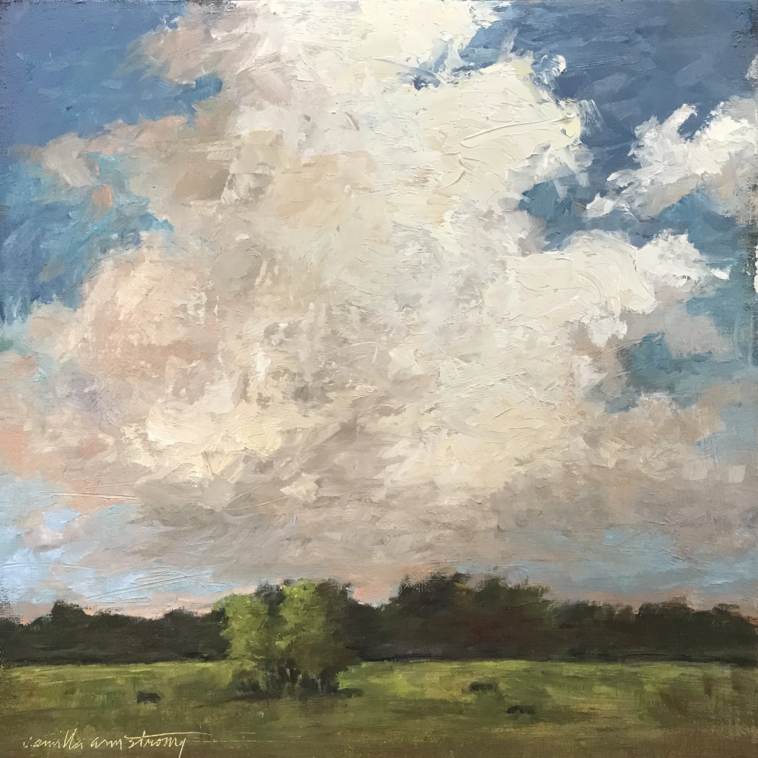 Summer Sunset:oil on linen:12x12.jpg