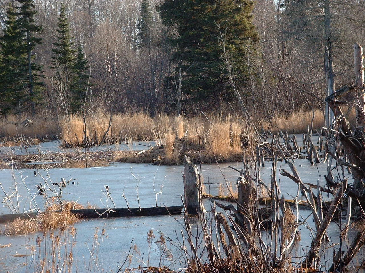 _lodge_pond.jpg