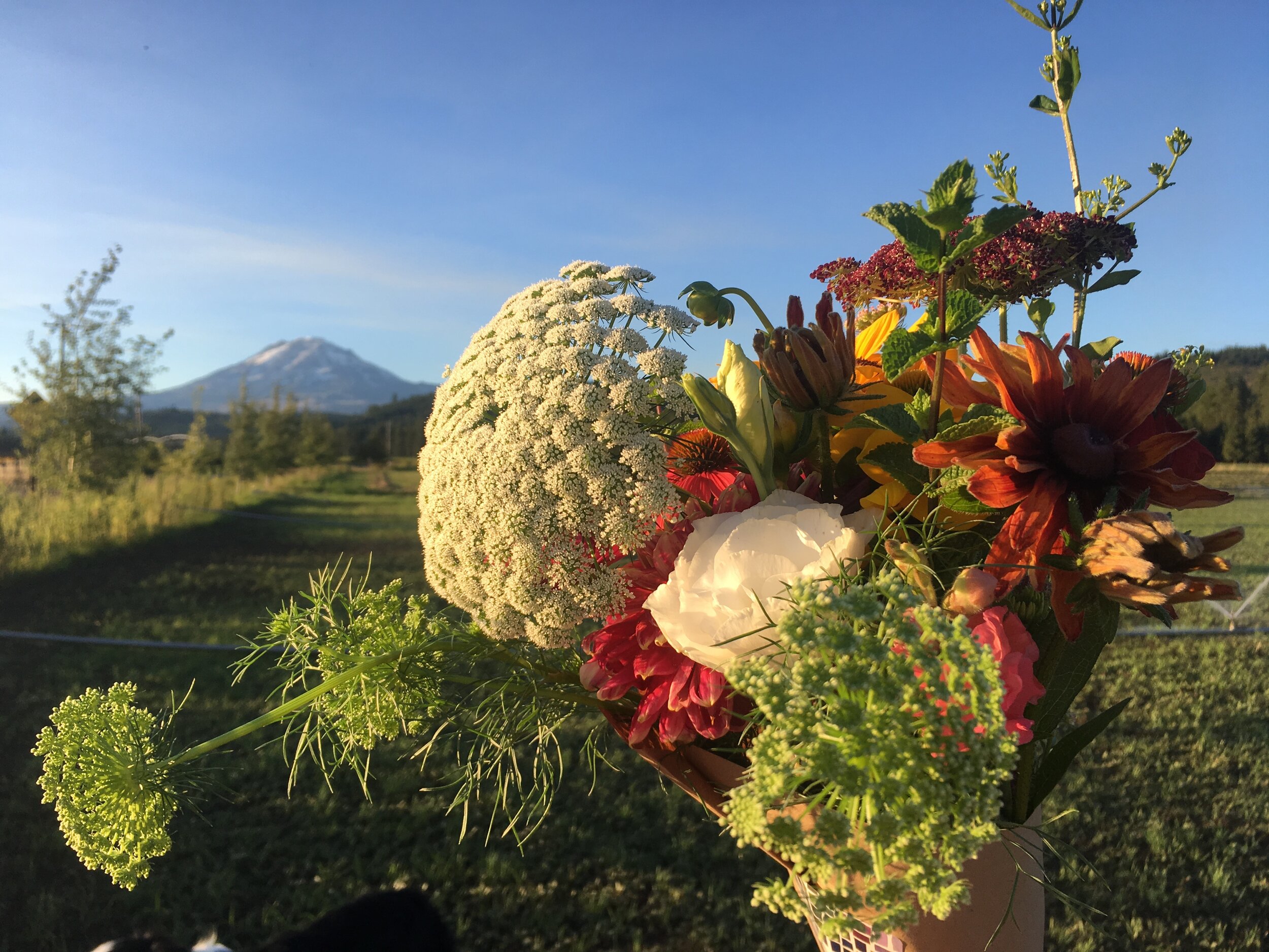 Summer Flower Csa Bouquets Bloom Dye