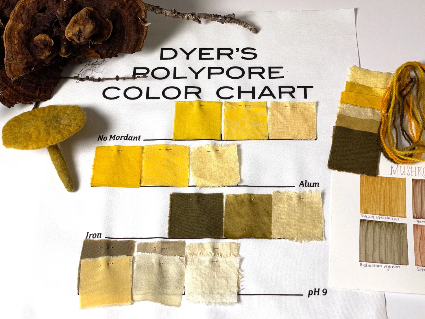 Events — Bloom & Dye