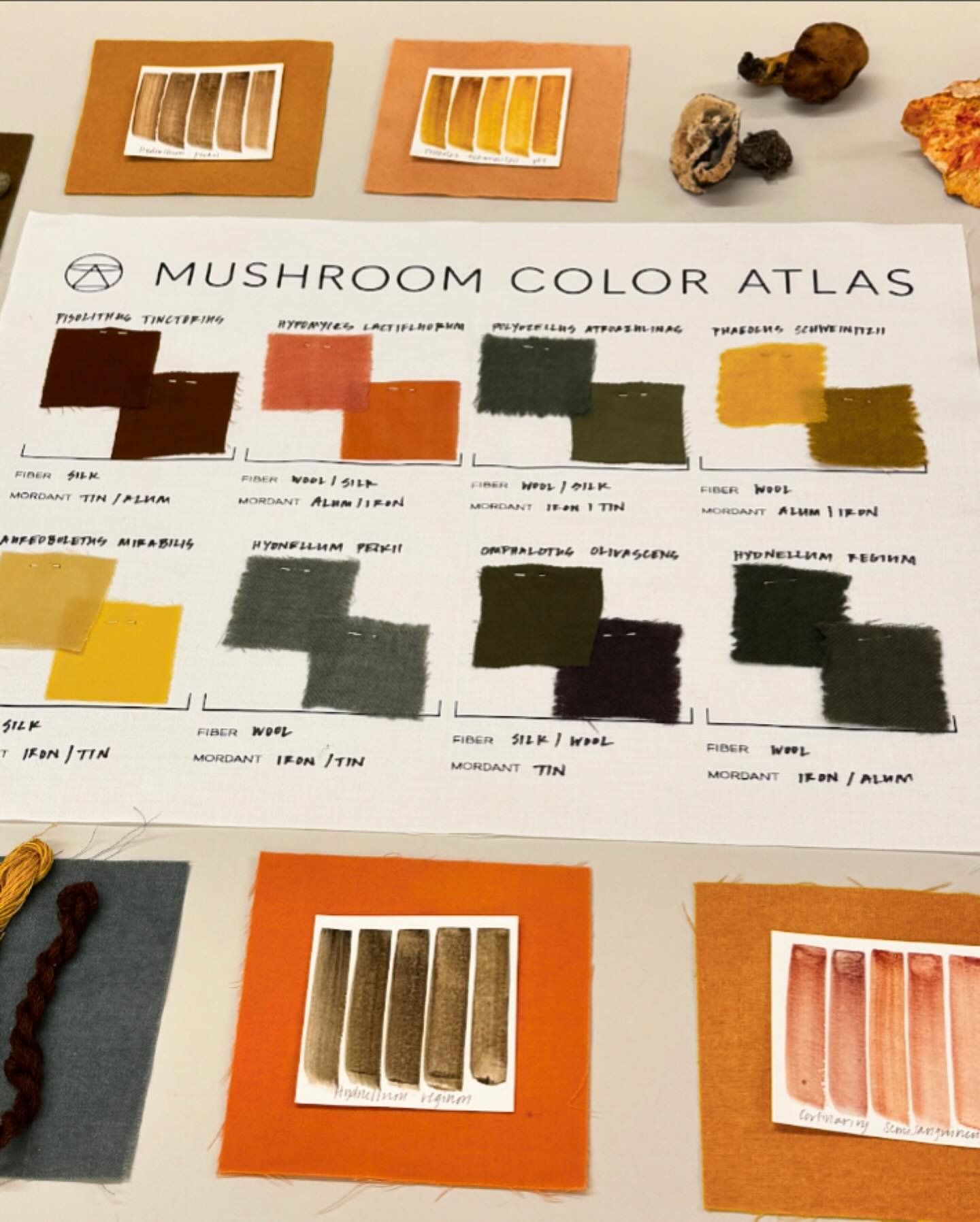 Behind the scenes at Wildcraft Studio School as they get ready to launch their Fall 2024 workshops! Registration opens May 7. 🍄🌈🎨

It is always so much fun to work with the incredibly talented team @wildcraftstudio and I was thrilled when Carolyn 