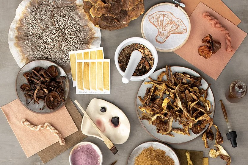 Mushroom Alchemy: Unlocking Nature’s Hidden Colors @ YVML