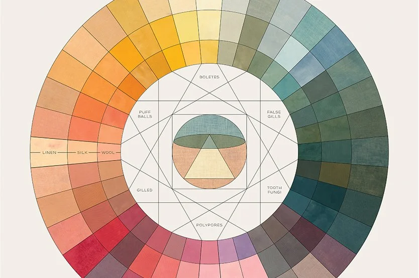 NAMA Webinar: From Spore to Spectrum