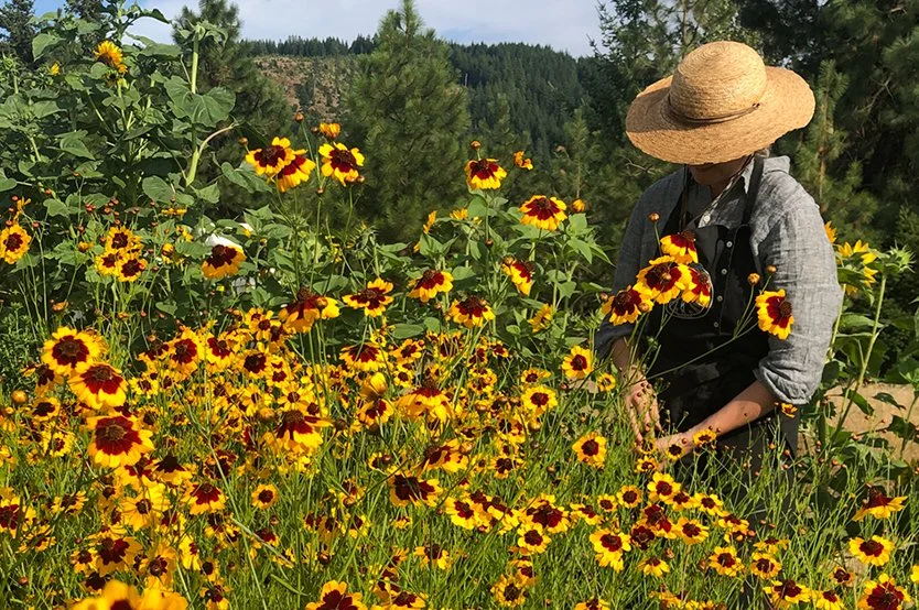 Denver Botanic Gardens