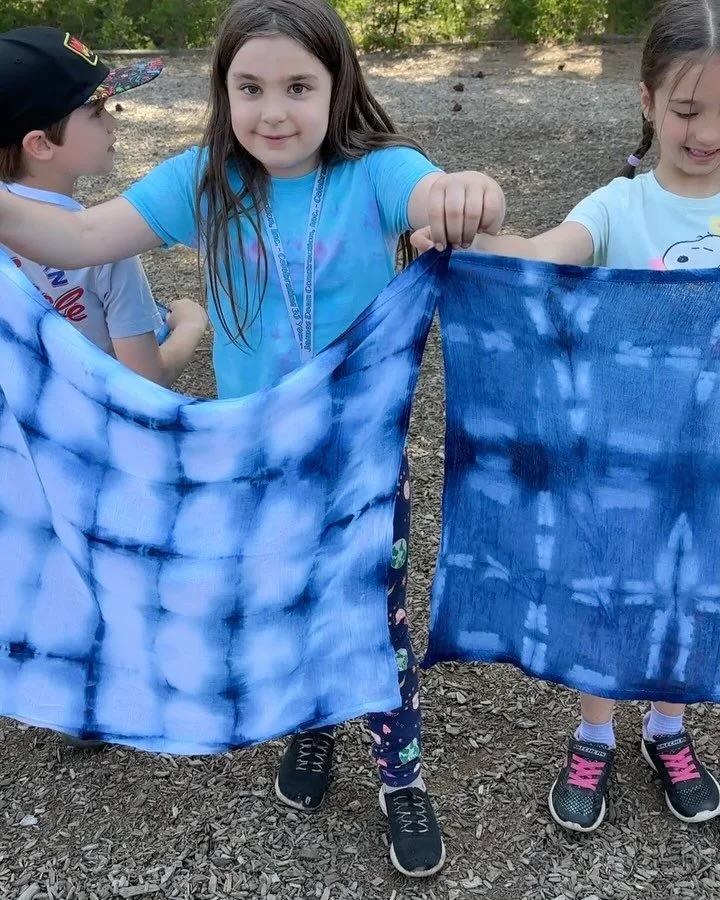 💙🩵💙 Always a fun day teaching indigo at the Trout Lake School! It is part of the first graders science track as they learn about plant life and sprout their own seeds. It is also just in time for a heart filled Mother&rsquo;s Day gift. The first g