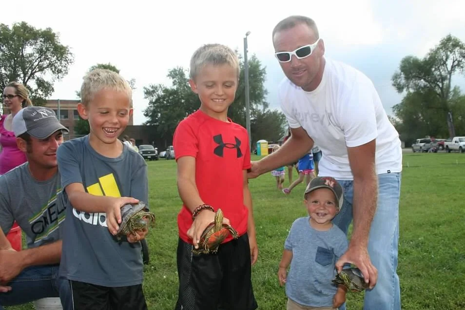 Turtle Races
