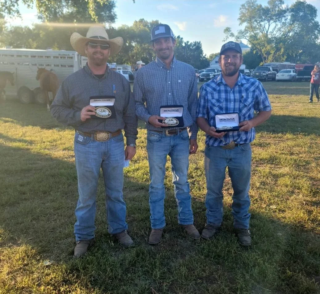 Open Team Sorting & Penning