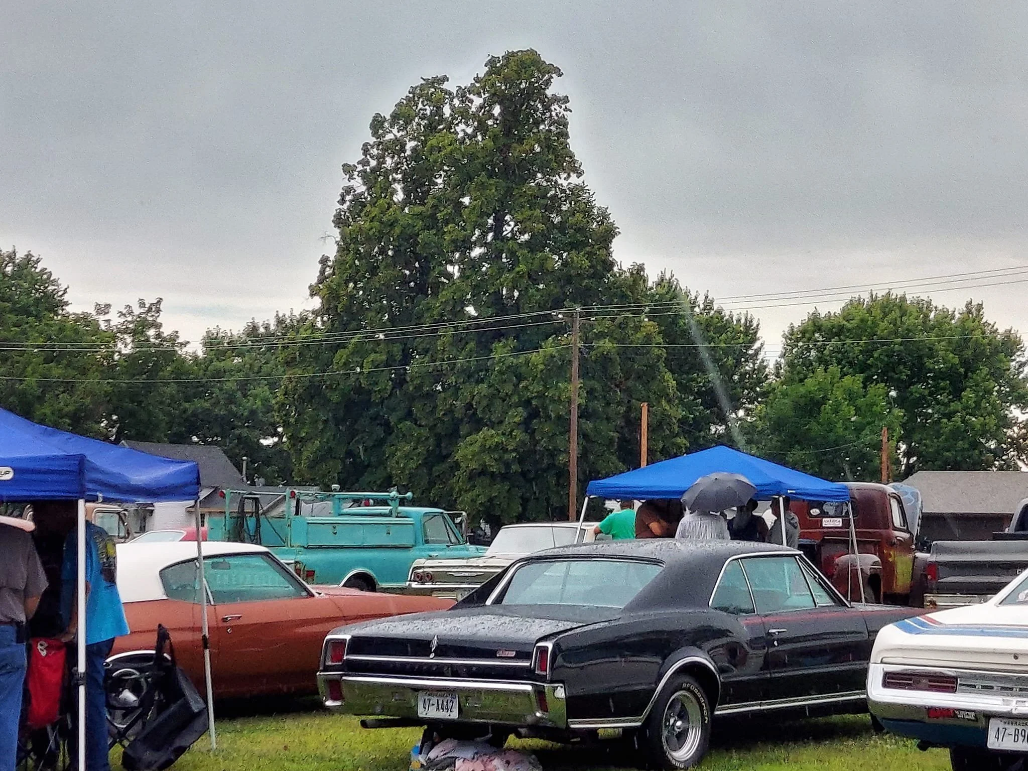Car Show