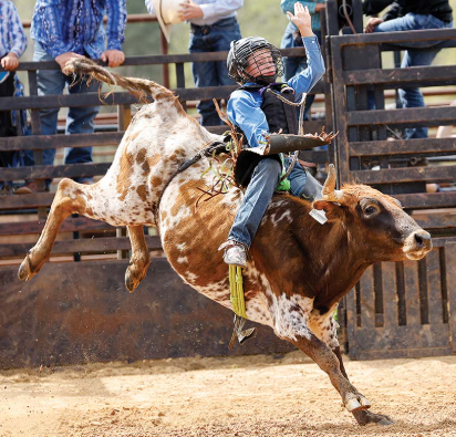Steer Riding