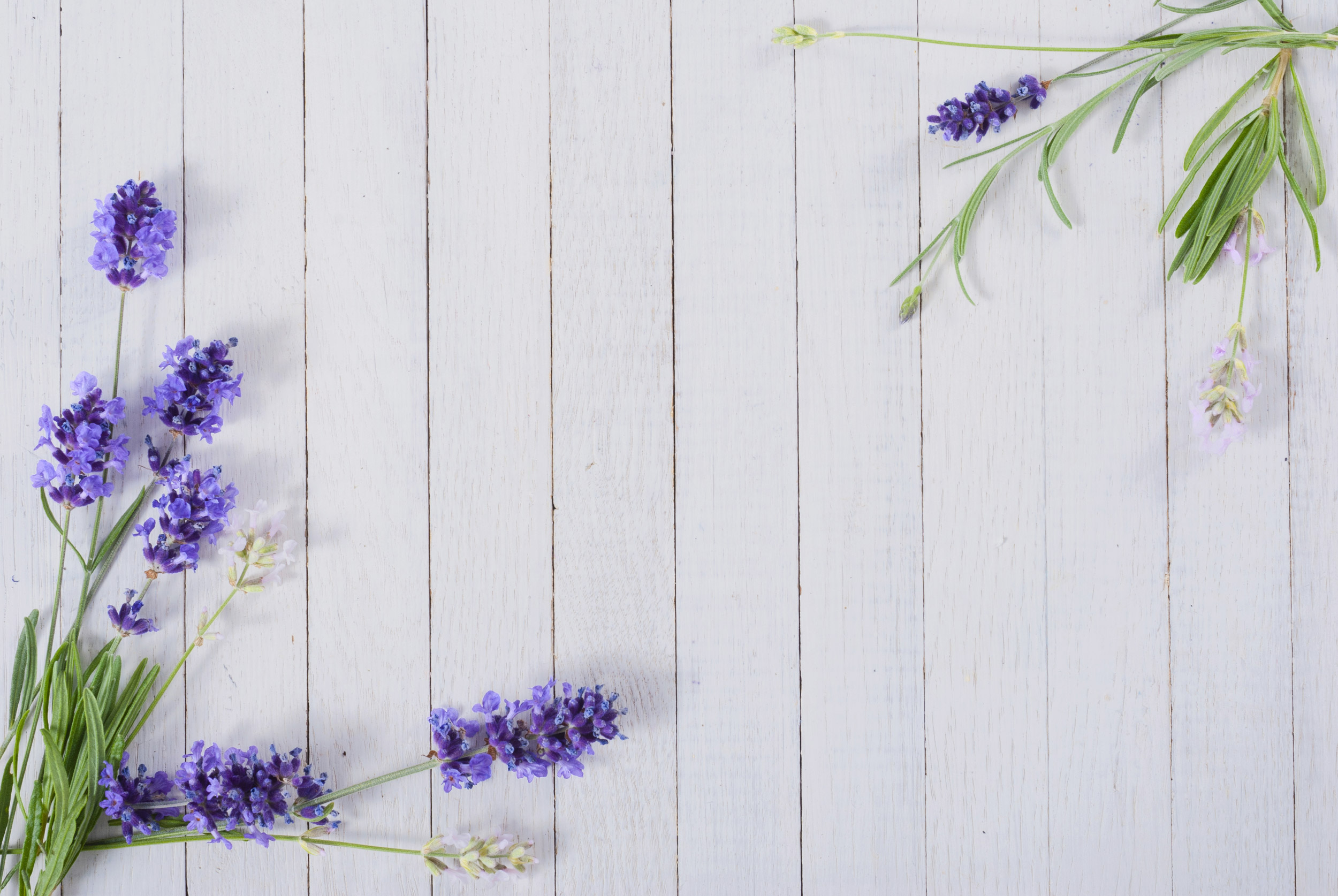 Gift Wrapping (add-on) — Lavender Essentials of Vermont