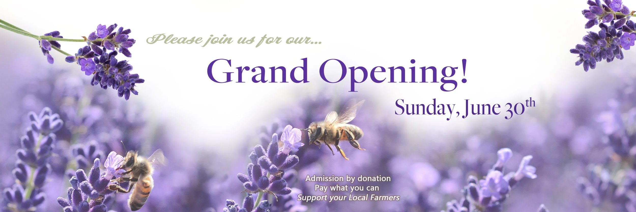 grand-opening-banner.jpg