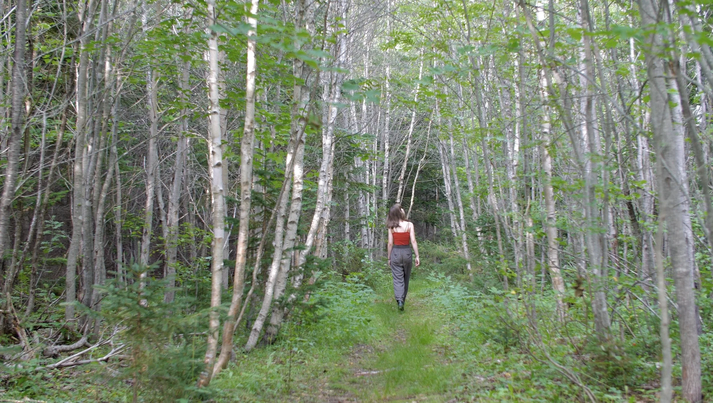 Screen Shot 2021-08-06 at 1.11.03 PM.jpeg