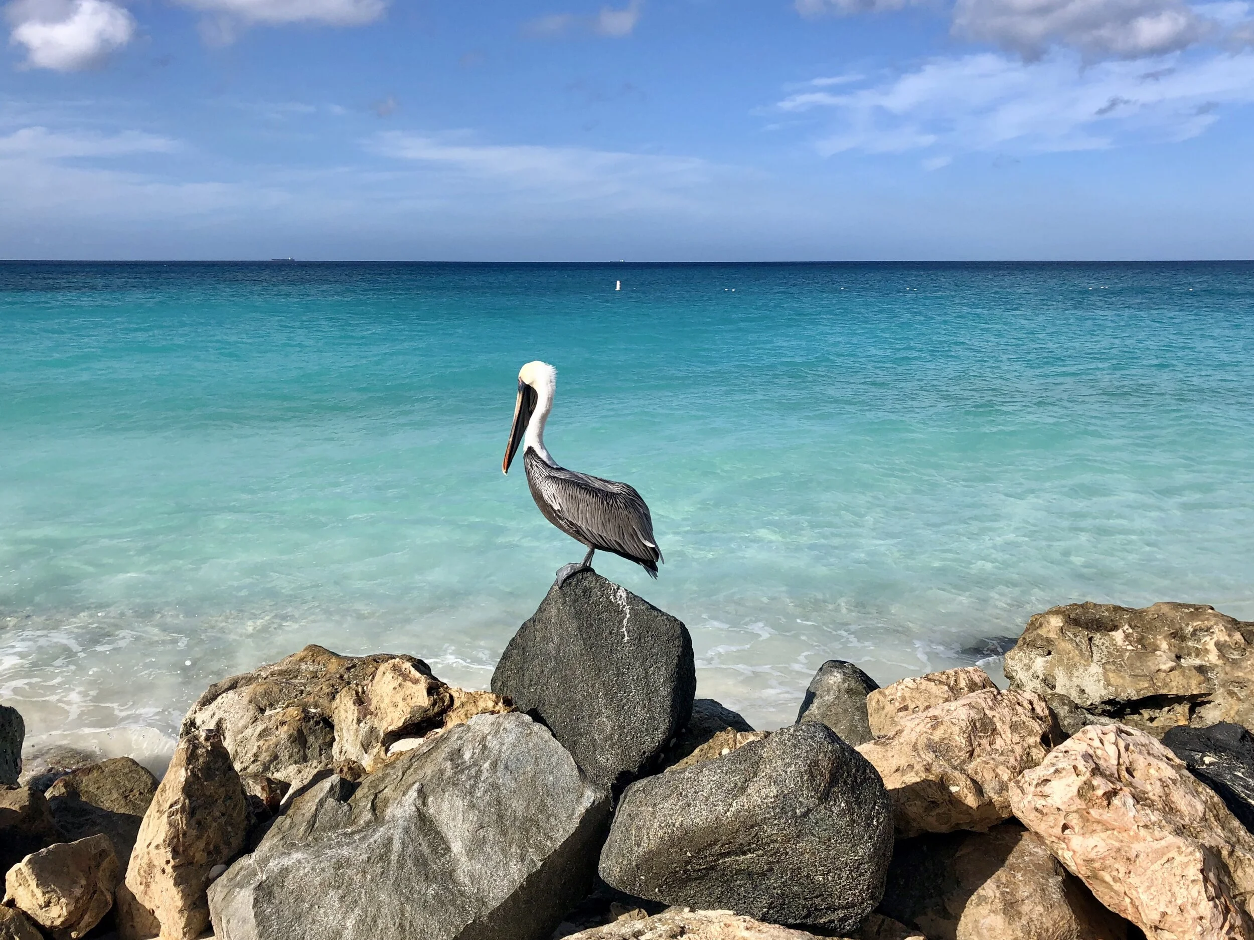 Travel Diary #2 Aruba