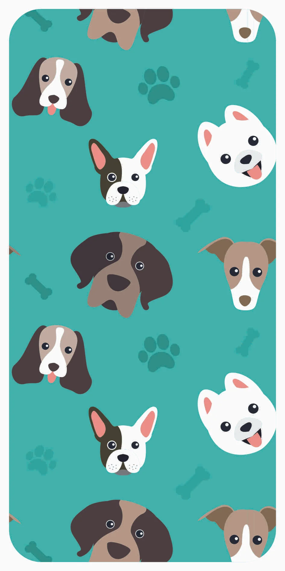 Animal 012