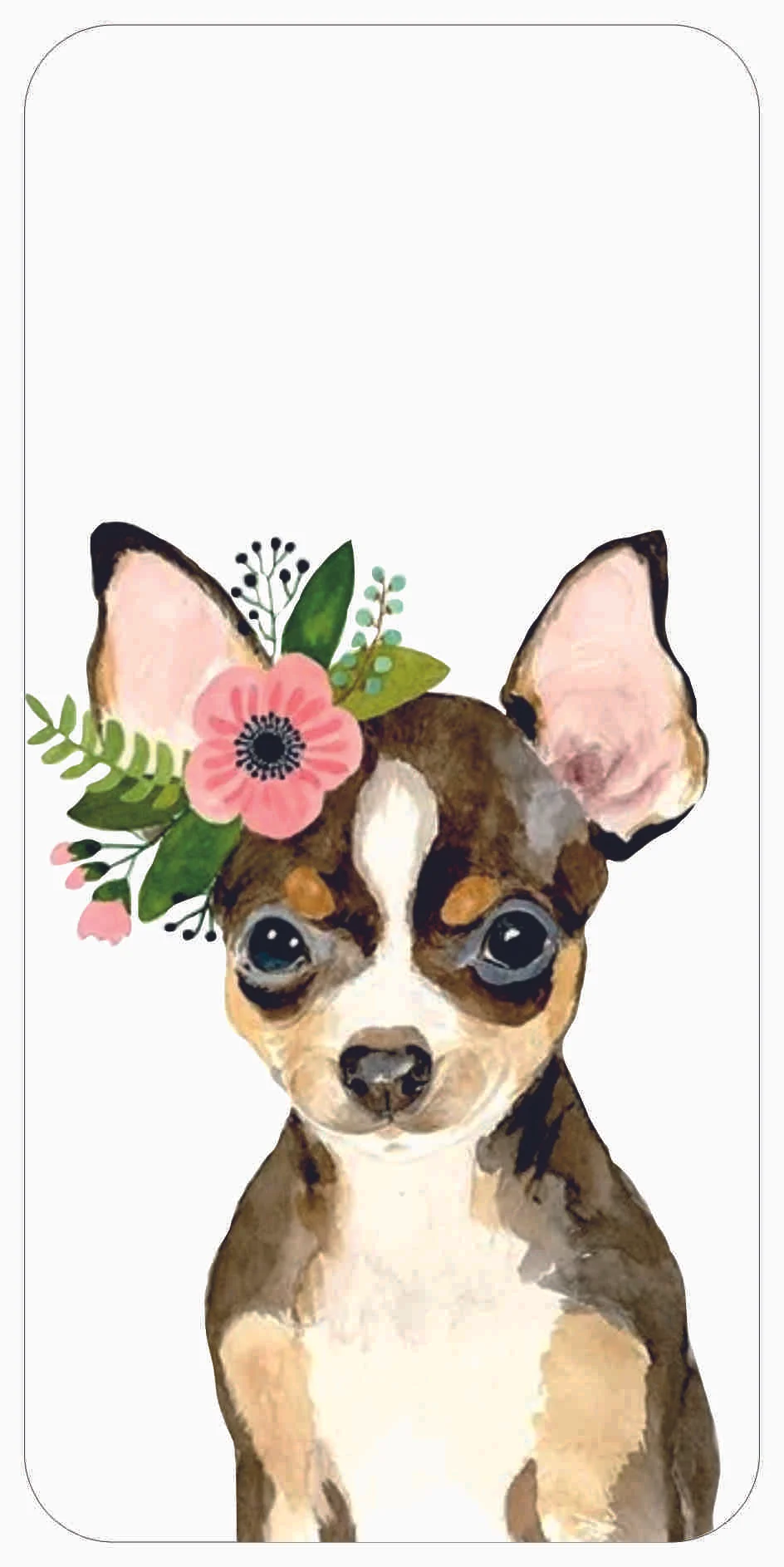 Animal 009