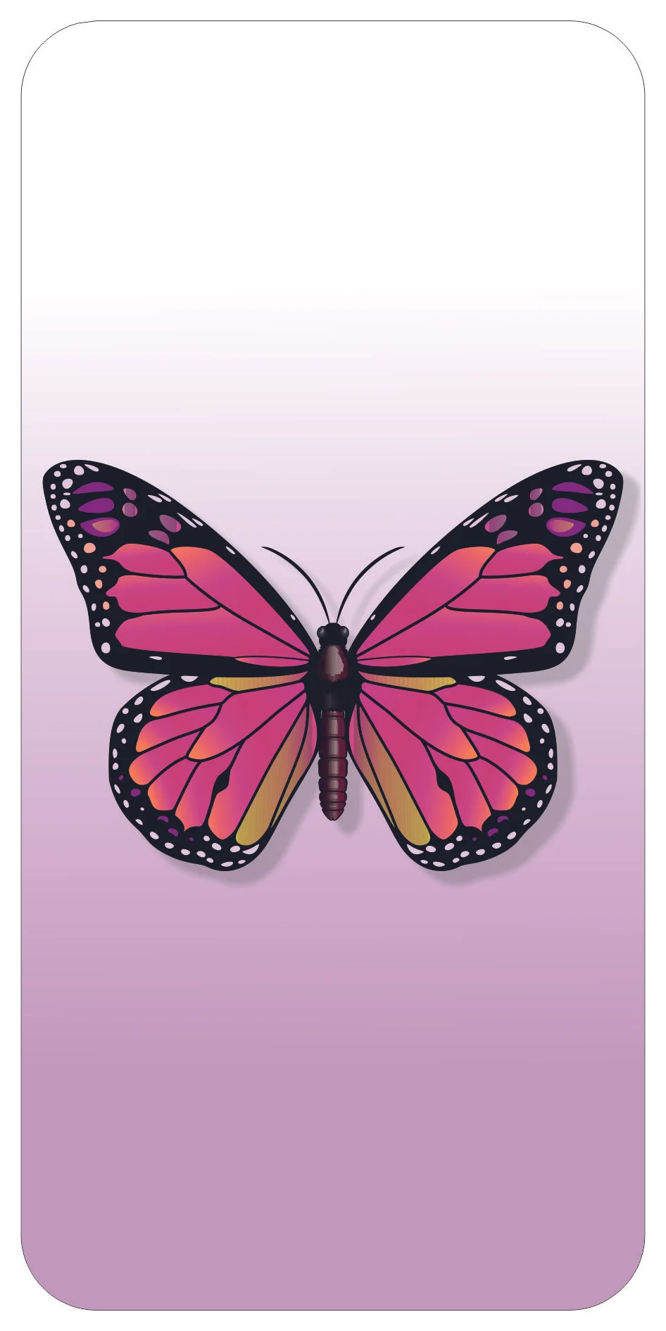 Mariposa 002