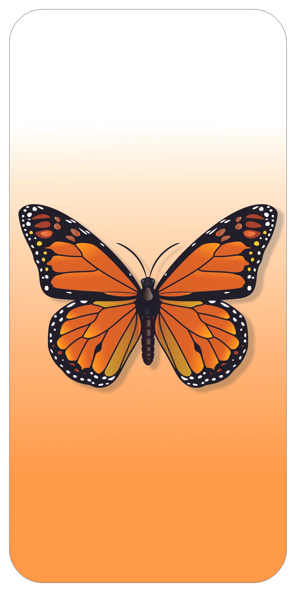 Mariposa 003