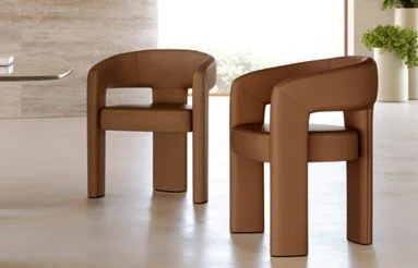Aigle dining chair.jpg