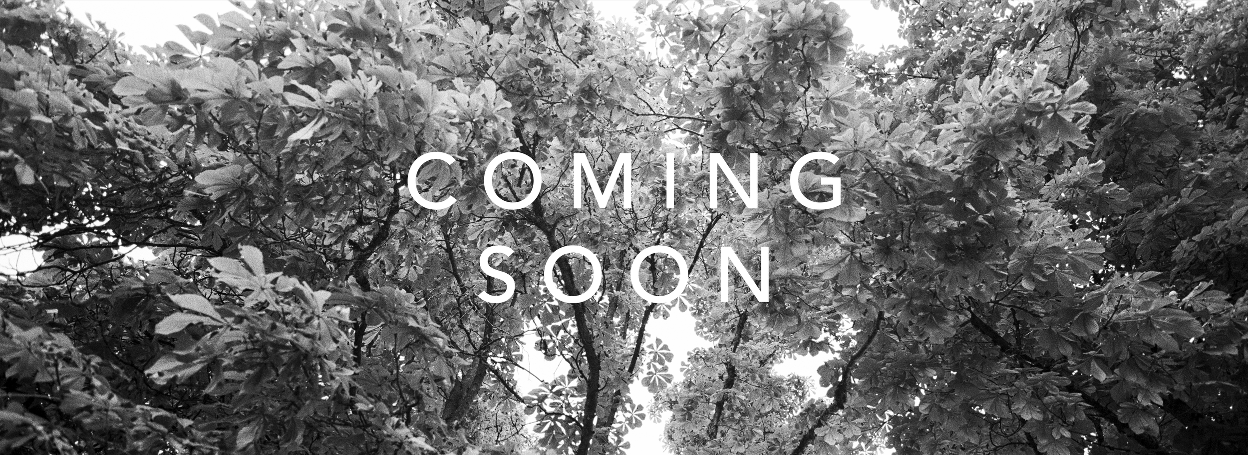 2019_ComingSoon.png