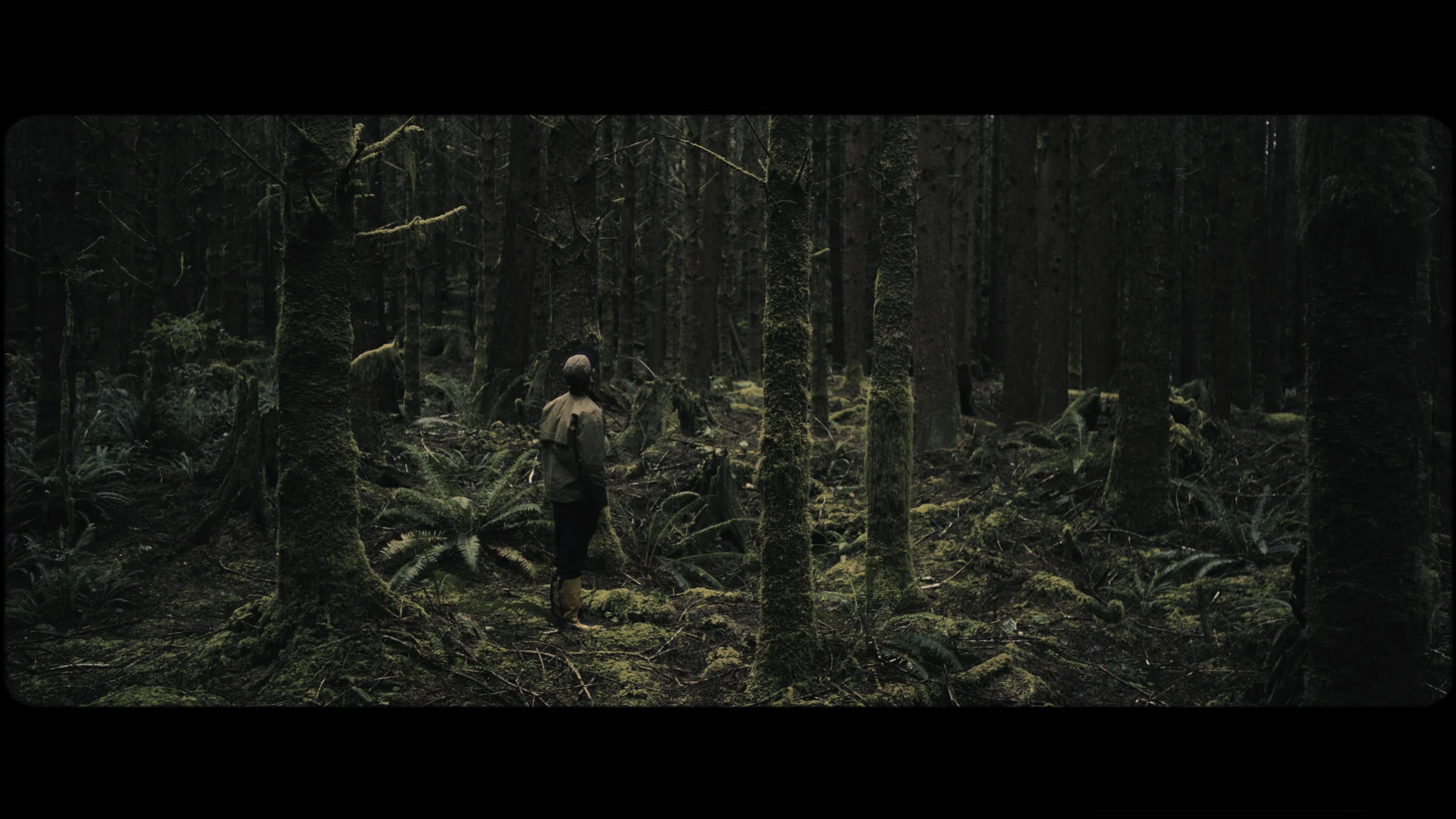 2019_Sitka_FrameGrabs_Edited_Part1 (11 of 26).jpg