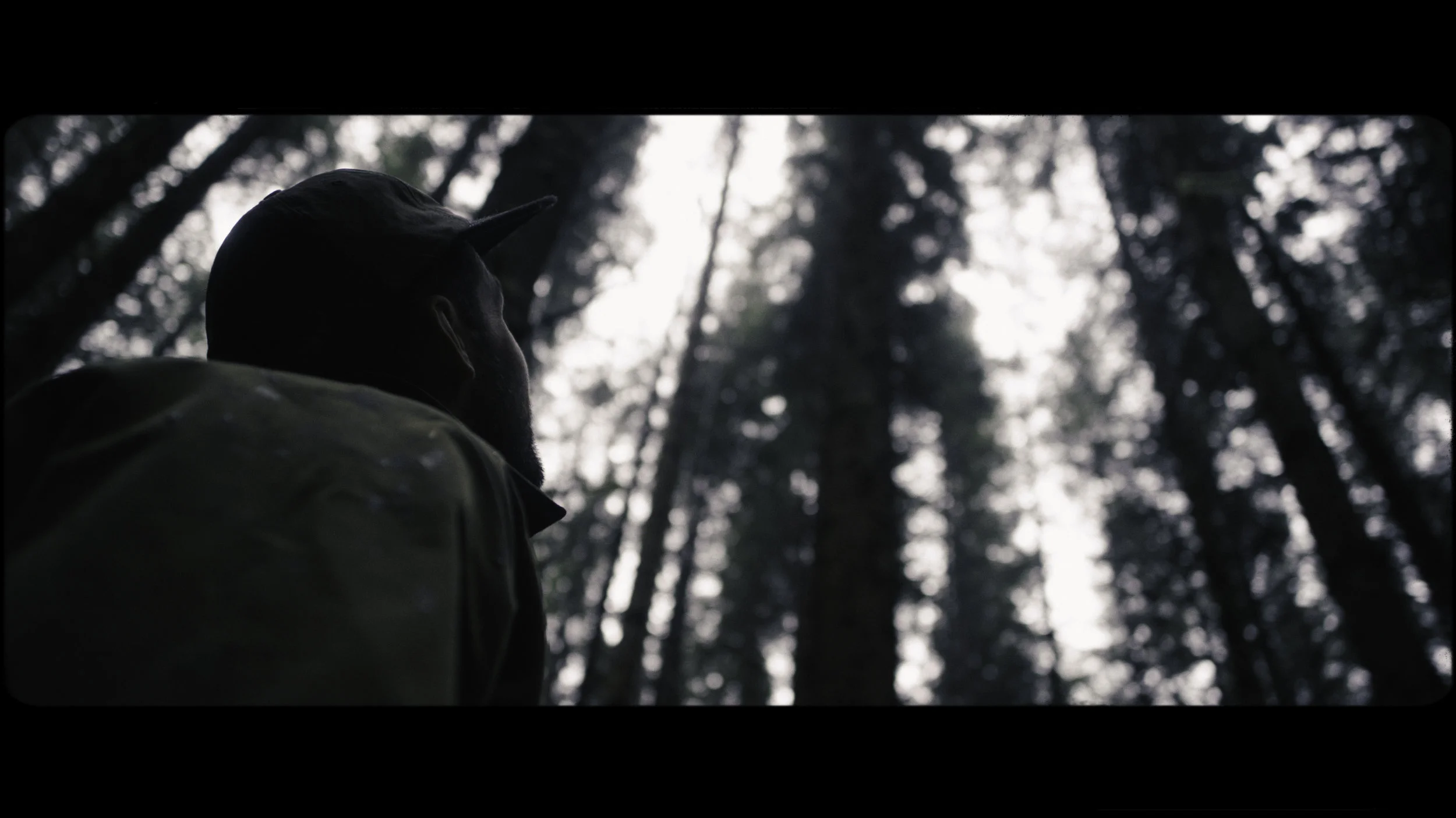 2019_Sitka_FrameGrabs_Edited_Part1 (12 of 26).jpg