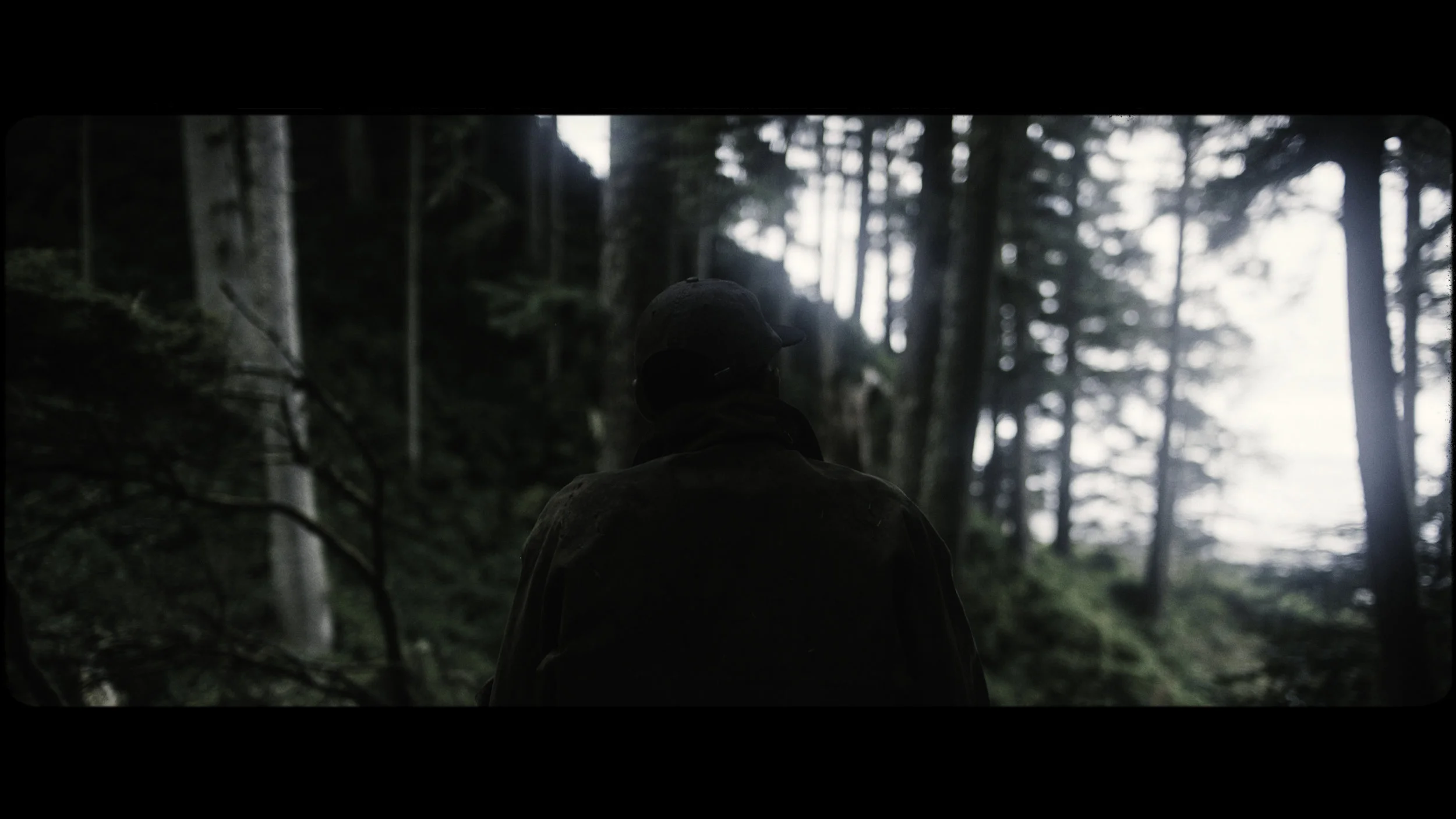 2019_Sitka_FrameGrabs_Edited_Part1 (26 of 26).jpg