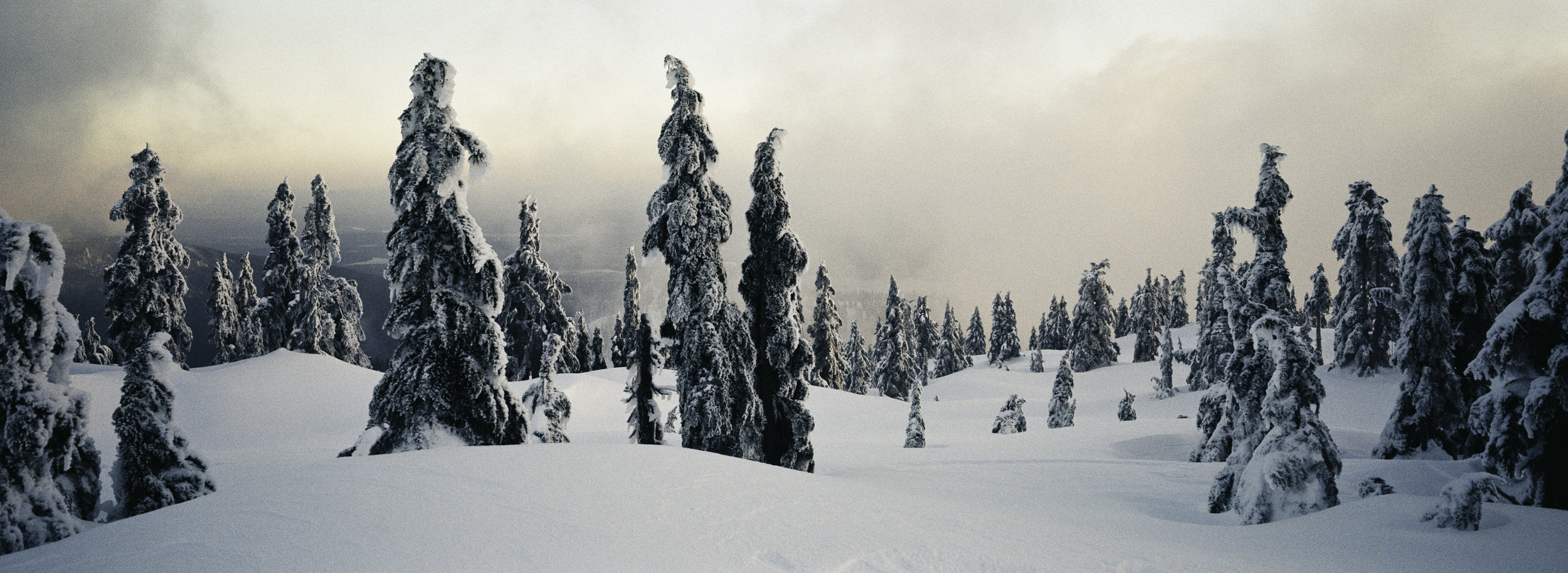 2019_XPAN_Cypress_SnowGhosts (1 of 1).jpg