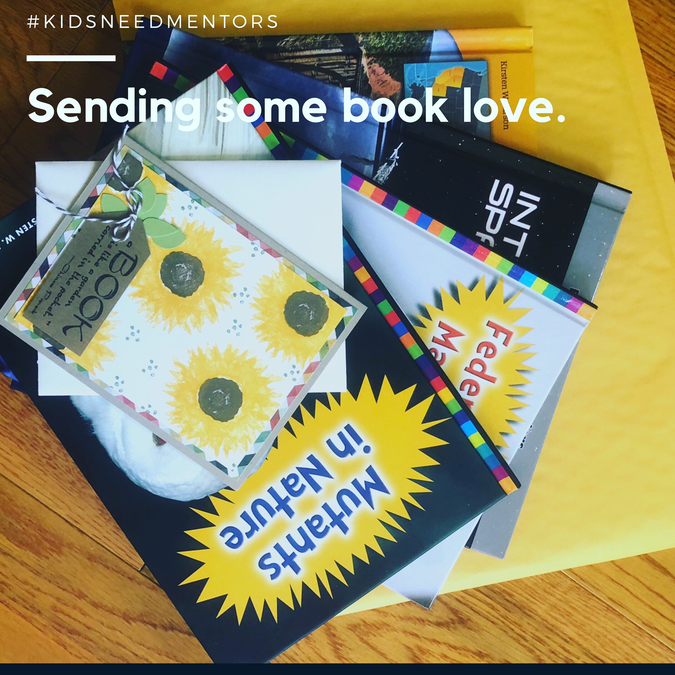 I recently sent this package of my education-market books to a #KidsNeedMentors classroom.