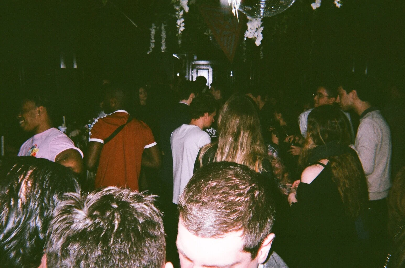 50460019.JPG