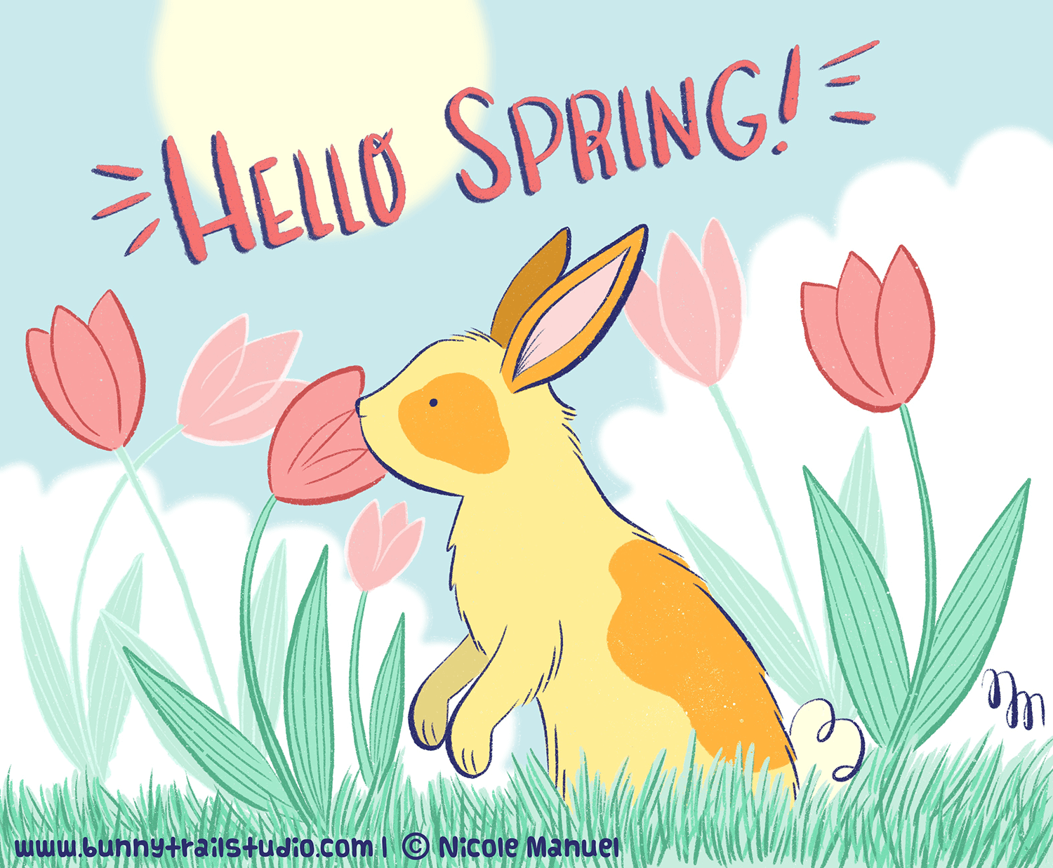 nicolemanuel_hellospring.png