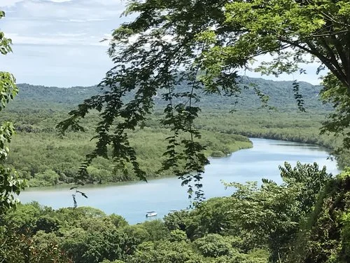 Estuary.jpg