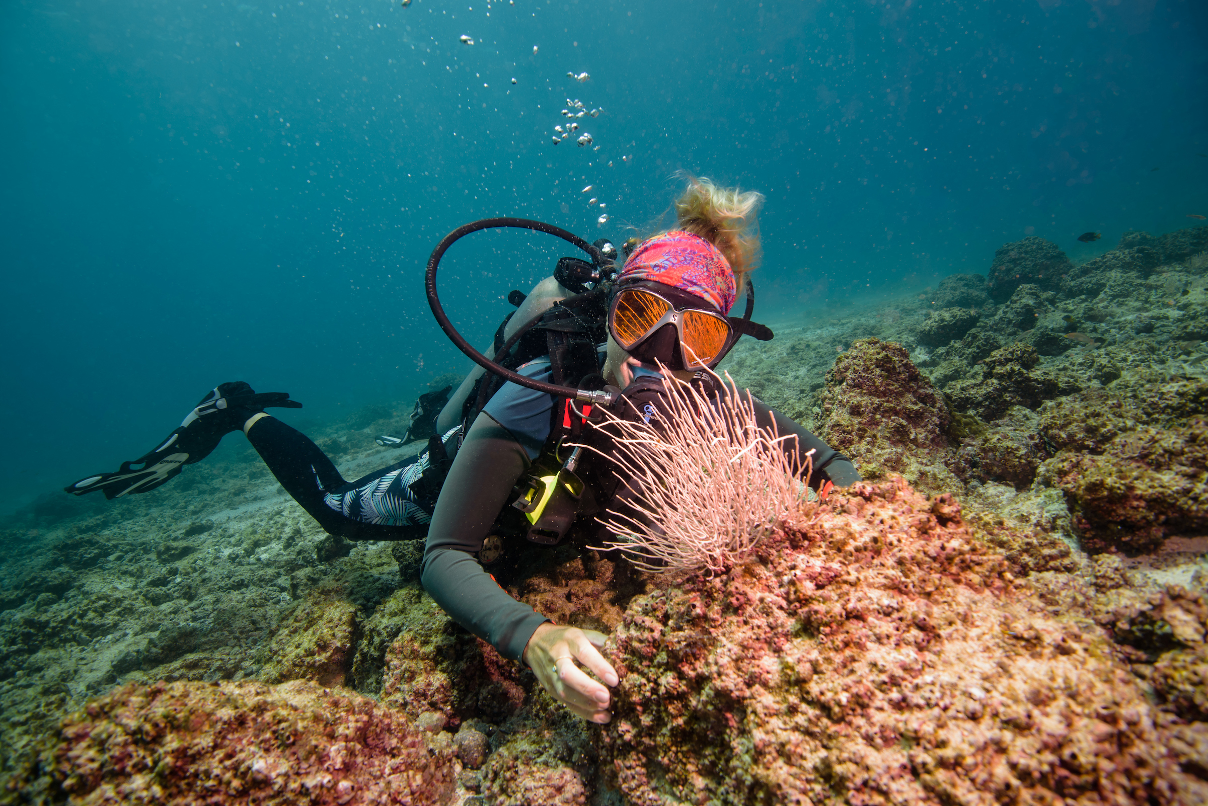 Costa Rica Scuba Diving.jpg