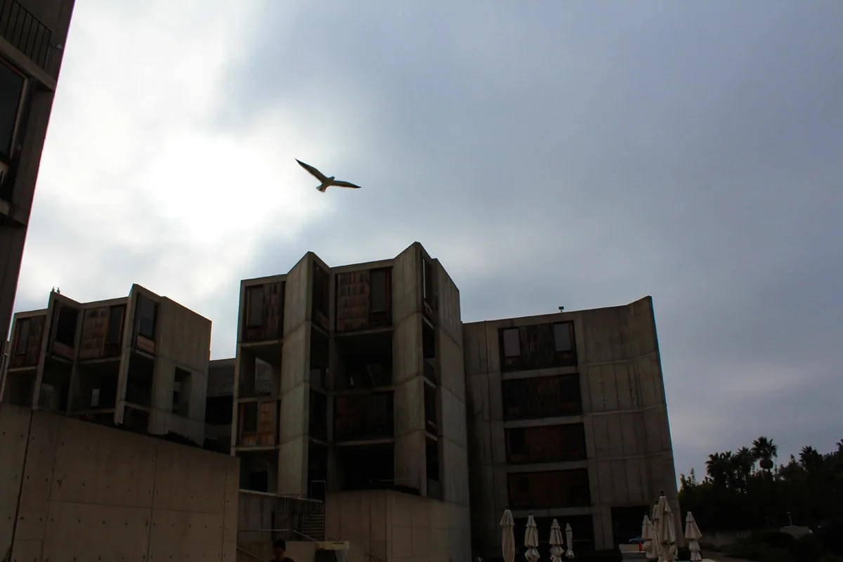 IMG_0591-min.jpg