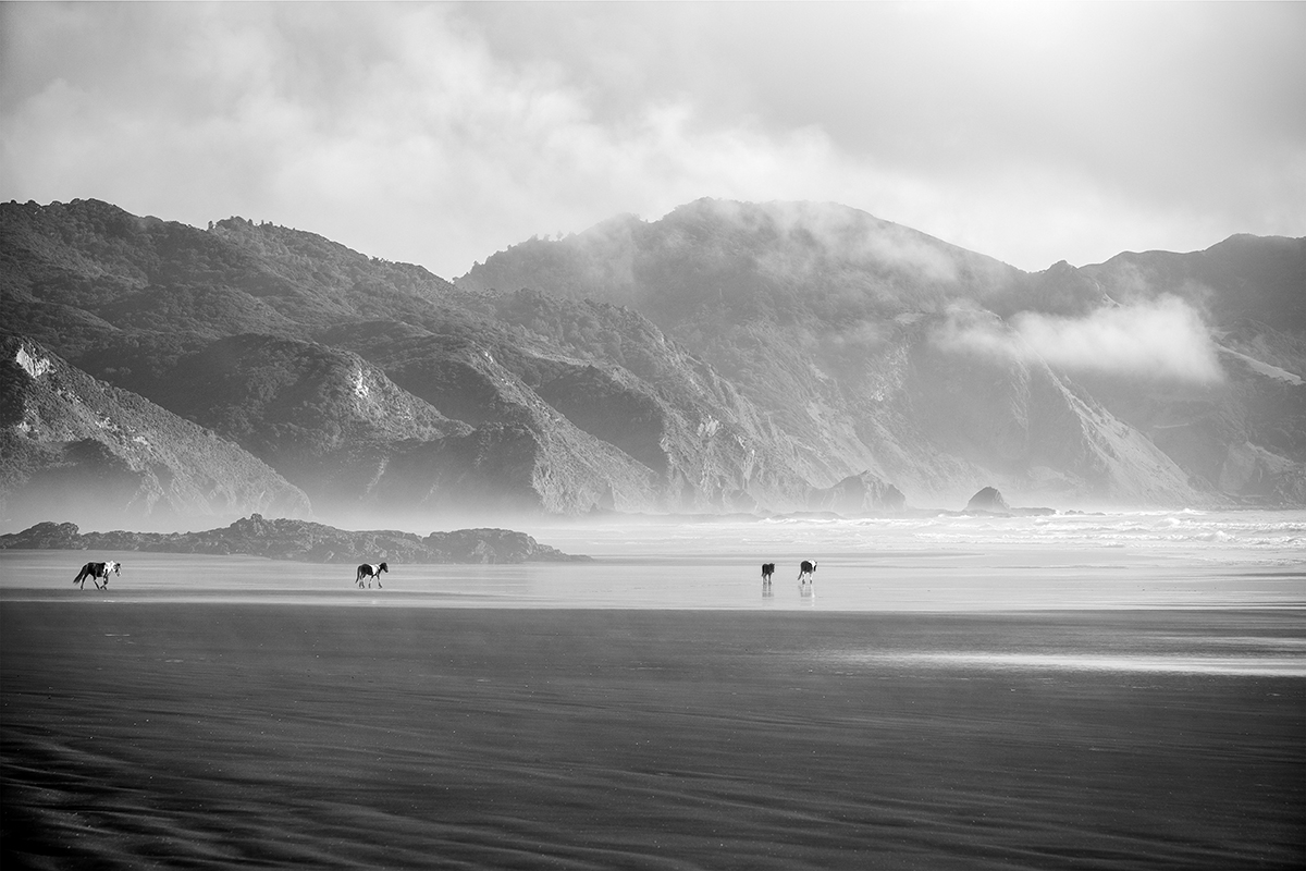 12x18–1X1A7006 copy.jpg