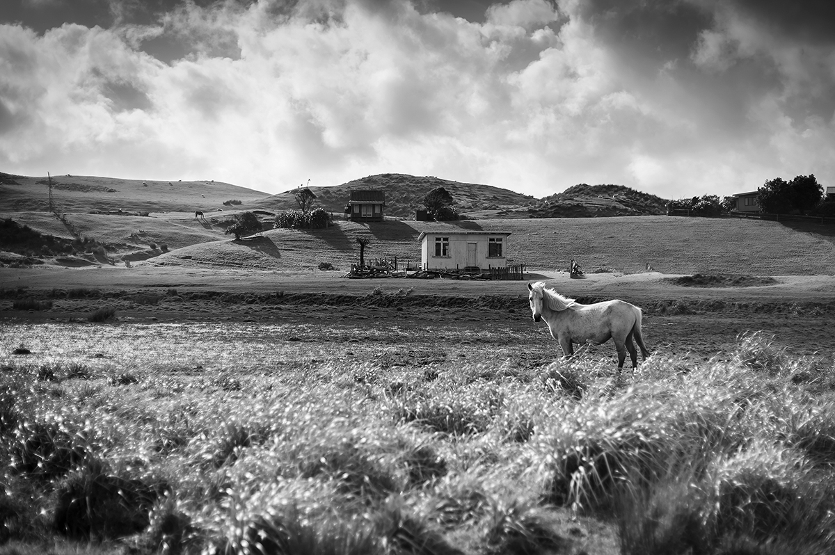 20150913-1X1A7585 copy.jpg