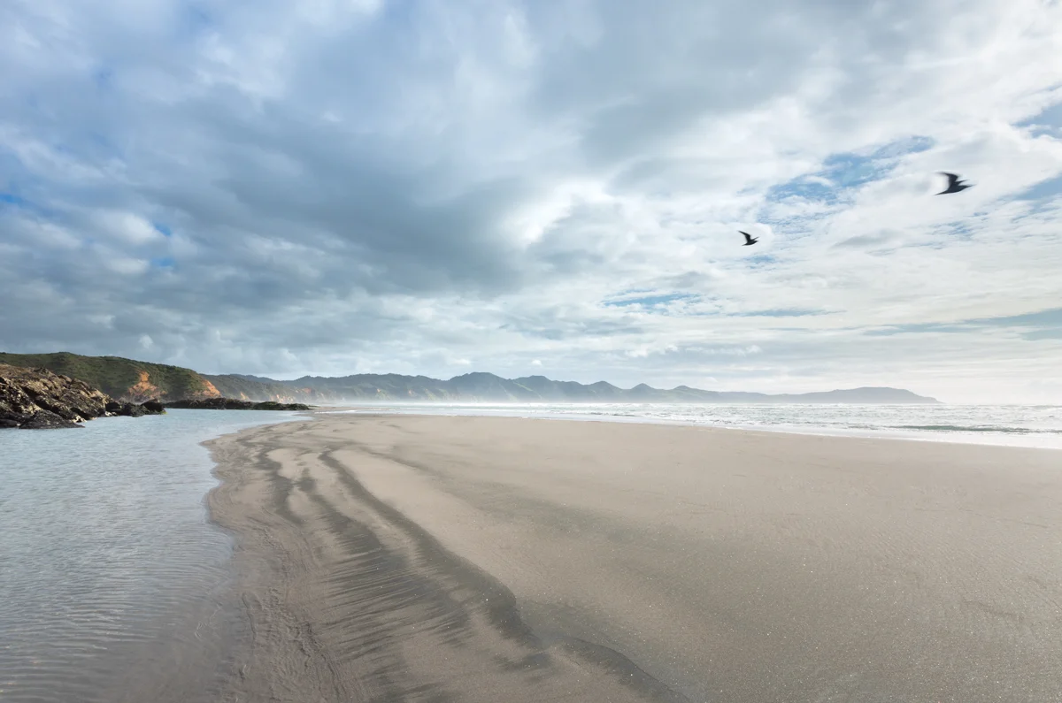 20151028-1X1A9056-Edit-Edit-copy.jpg