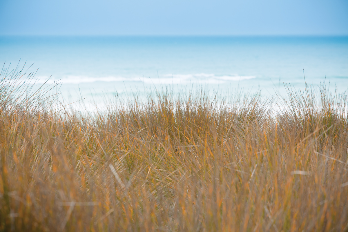 20151011-1X1A8573-Edit.jpg