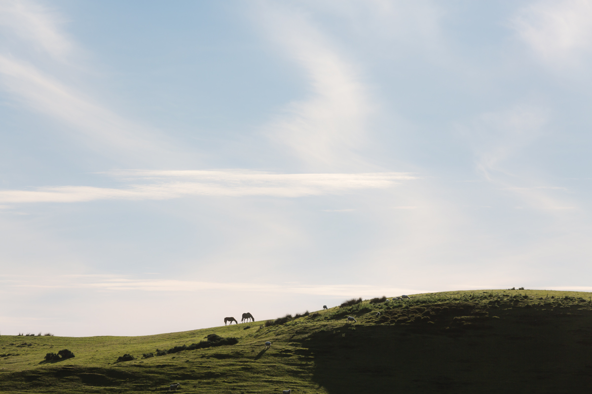 20151107-1X1A9396-Edit-2.jpg